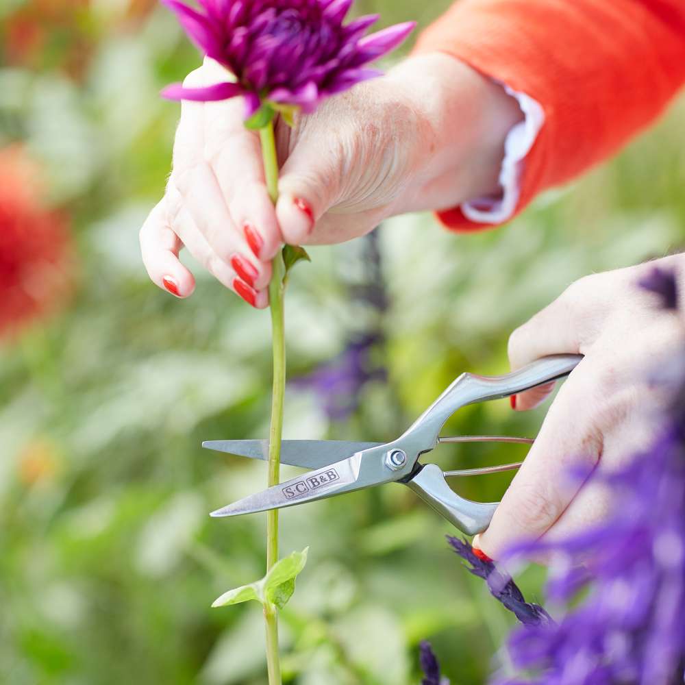 Burgon & Ball Precisionssax